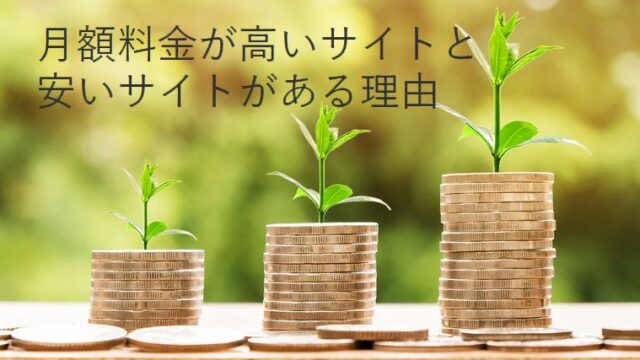 月額料金が高いアダルトサイトと安いアダルトサイトがある理由