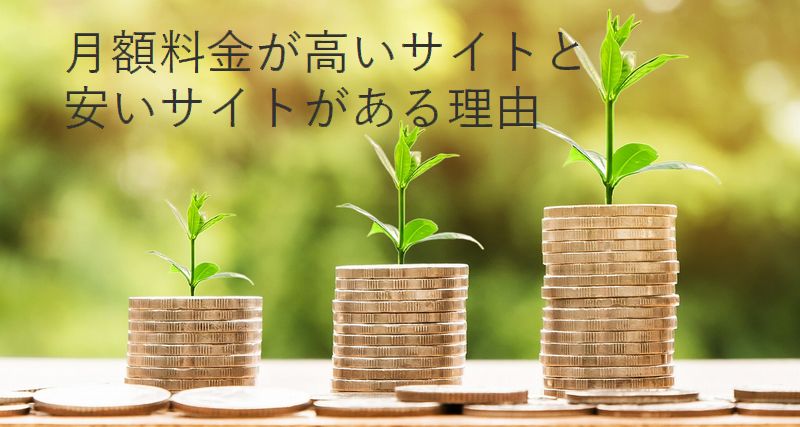 月額料金が高いアダルトサイトと安いアダルトサイトがある理由