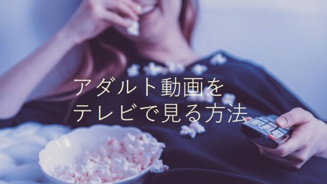 有料アダルトサイトの動画をテレビで見る方法